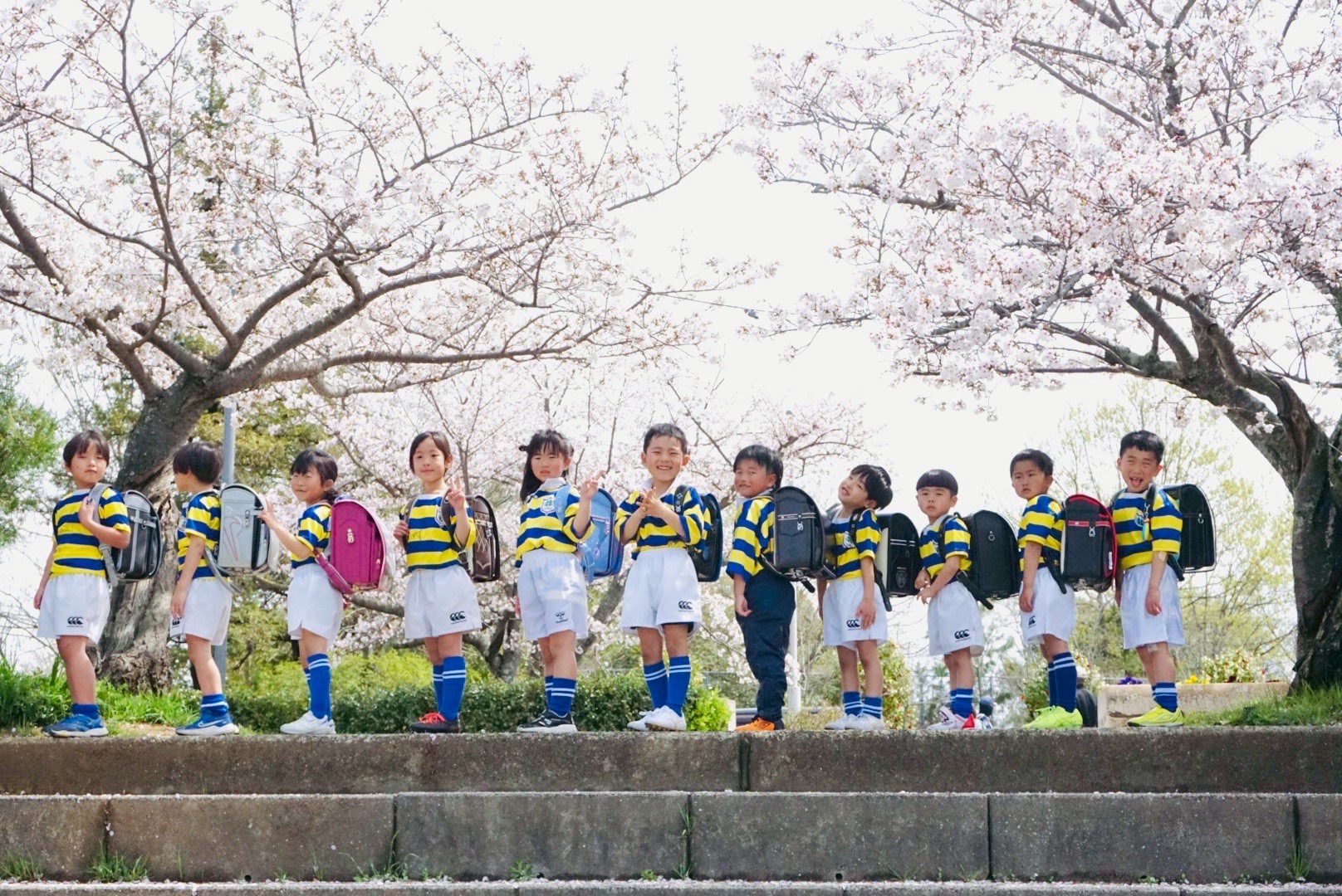 桜の下でランドセルを背負った選手たち